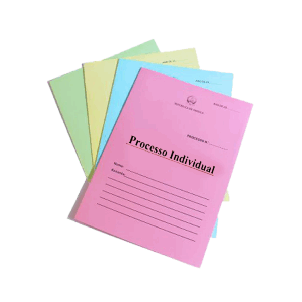 Capa De Processo Individual